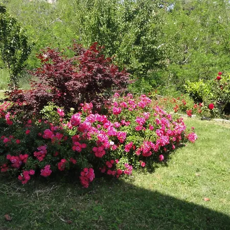 فندق مبيت وإفطار Elegante Lisa باستيا