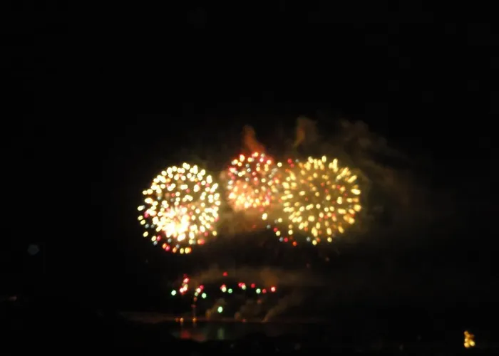 Elegante Lisa Bed & Breakfast 4*