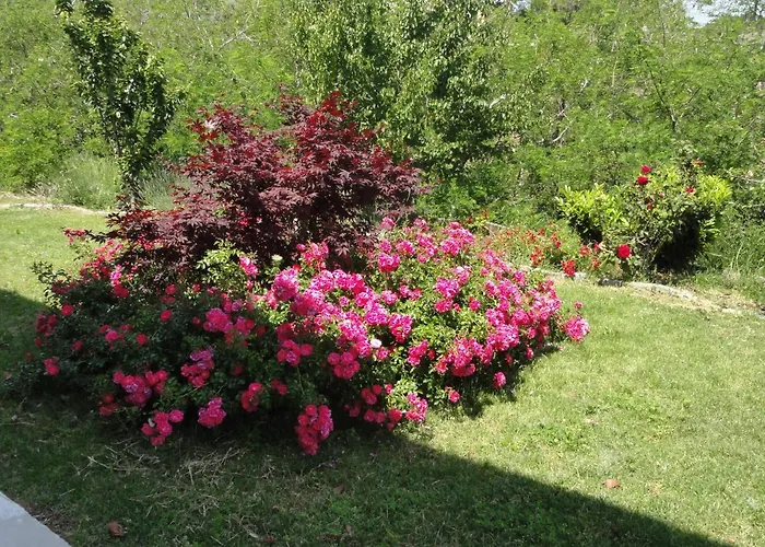 Bed & Breakfast Elegante Lisa Bastia (Corsica)